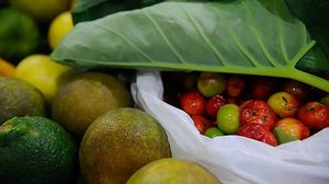 Foto: Reprodução/Agência Brasil