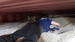 Divulgação/Receita Federal