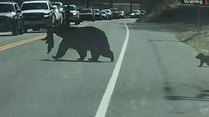 Reprodução / CNN Brasil