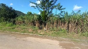 Foto: Reprodução/Polícia Civil