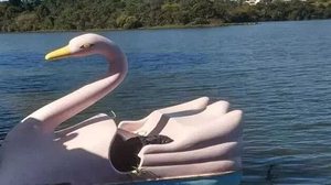 Vítima passeava de pedalinho na Represa Bortolan, quando decidiu nadar no local e se afogou | Foto: Divulgação/CBM-MG