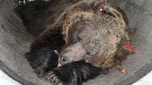 Press Office of the Autonomous Province of Trento