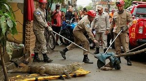 Cortesia ao Extra/Fabiano