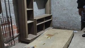 Reprodução / TV Globo