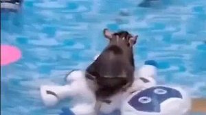 Foto: Reprodução/Redes Sociais