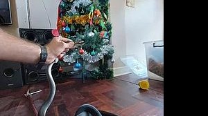 Reprodução / Facebook / Nick Evans