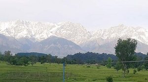 Reprodução / Twitter