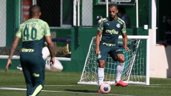 Divulgação/Palmeiras