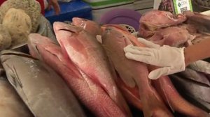 Peixes precisam estrar firmes e com odor característico | Foto: Reprodução / TV Pajuçara