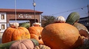 Prefeitura de Rio Verde