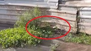 Reprodução/Rede Social