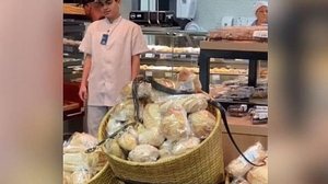 Foto: Reprodução/Redes Sociais