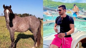 Reprodução / Redes sociais