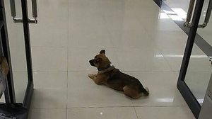 Reprodução/Twitter