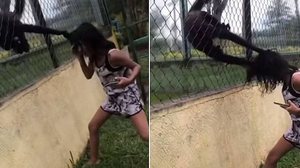 Foto: Reprodução/Redes Sociais