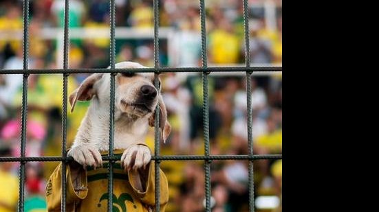 Juan Ignacio Roncoroni/EFE