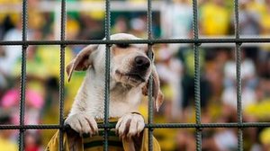 Juan Ignacio Roncoroni/EFE