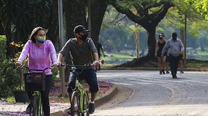 Pesquisa da Faculdade de Medicina da USP avaliou adultos saudáveis | Foto: Rovena Rosa / Agência Brasil