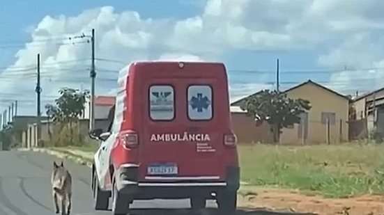 Arquivo Pessoal/Igor Paiva