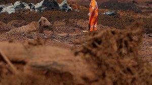 Reprodução/Agência Brasil