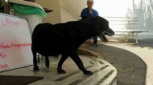 Edésio Ferreira / EM / D. A. Press