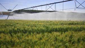 Reprodução/Globo Rural