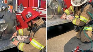 Imagem Bombeiros “ressuscitam” cachorro resgatado de incêndio com máscara de oxigênio especial