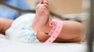 Foto: Reprodução/Freepik