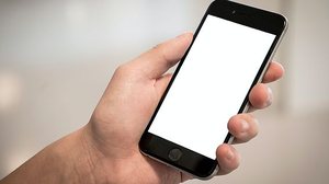 Foto: Reprodução/Pexels