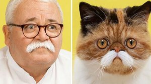 Imagem Fotógrafo cria coletânea com fotos de gatos e seus sósias humanos; veja