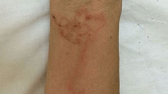 Reprodução/Twitter