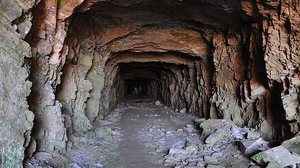 Ilusrtação | Reprodução