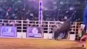 Foto: Reprodução/Redes Sociais