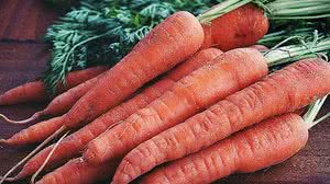 Cenoura é um dos alimentos indicados | Pexels