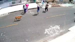 Reprodução / Instagram / São José Alerta