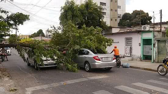 Reprodução/Whatsapp