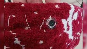 Reprodução / TV Globo