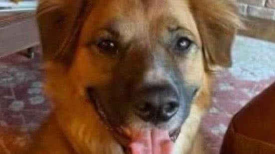 Reprodução/Polícia Idaho