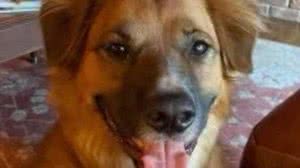 Reprodução/Polícia Idaho