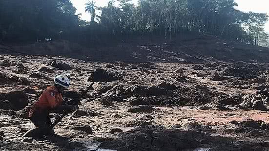 Bombeiro trabalha em busca de vítimas | Cortesia / Corpo de Bombeiros/AL