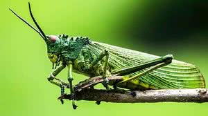 Foto: Reprodução/Redes Sociais