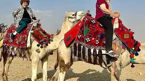 Imagem Melhores amigas de 81 anos viajam pelos sete continentes em 80 dias