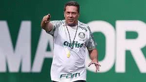 Cesar Greco / Agência Palmeiras