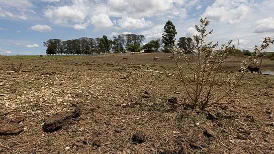 © Fábio Pozzebom/Agência Brasil