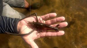 Divulgação/Assessoria