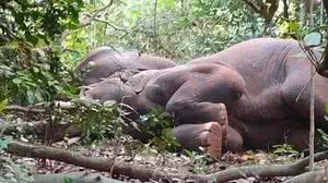 Foto: Reprodução/Redes Sociais