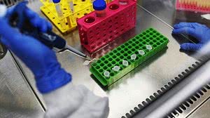 Imagem Brasil entra em rede global de produção de vacinas contra covid-19