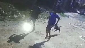 Dupla é perseguida por cão após cometer assalto. | Reprodução vídeo