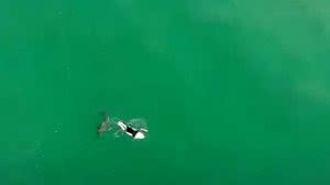 Reprodução / Youtube