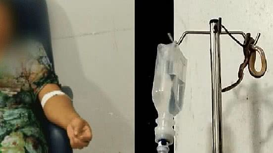 Imagem Cobra cai do teto de posto de saúde e assusta paciente ao ficar em cima de suporte do soro